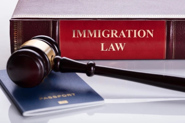 The Role of Professional Immigration Lawyers in Brampton: A Comprehensive Guide for Aspiring Immigrants